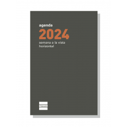 Recambio Anual Plana 2024