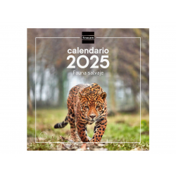 Calendario Imágenes de Pared 30x30 para Escribir 2025