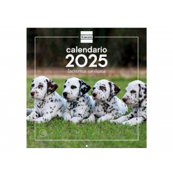 Calendario Imágenes de Pared 30x30 para Escribir 2025