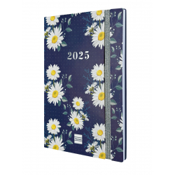 Agenda Dotted 16 Meses 2024 2025