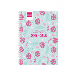 Agenda Cool 2024 2025