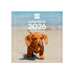 Calendario Imágenes de Pared 30x30 para Escribir 2026