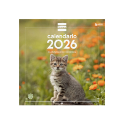 Calendario Imágenes de Pared 30x30 para Escribir 2026