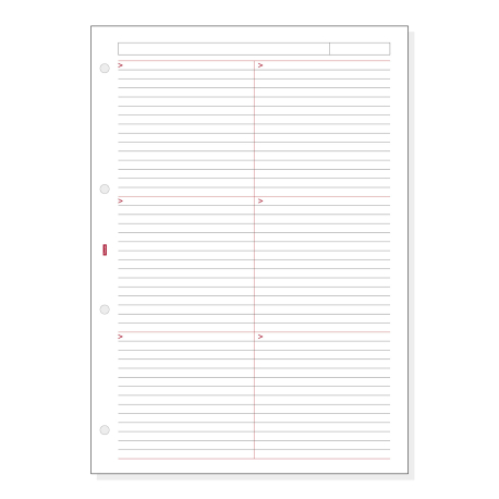 RECAMBIO PAUTADOS OPEN