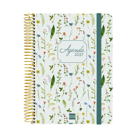 Agenda Cloe 16 Meses 2026 2027