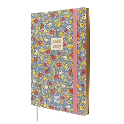 Agenda Mara 18 Meses 2026 2027