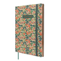 Agenda Mara 18 Meses 2026 2027