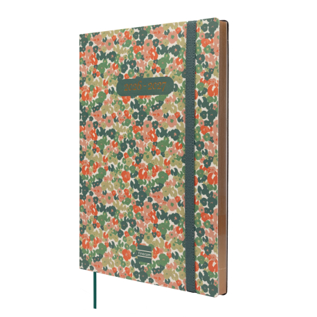 Agenda Mara 18 Meses 2026 2027