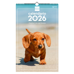 Calendario Imágenes de Pared Espiral para Escribir 2027