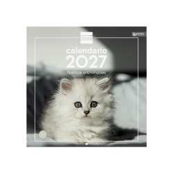 Calendario Imágenes de Pared 30x30 para Escribir 2027