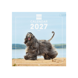 Calendario Imágenes de Pared Internacional 2027